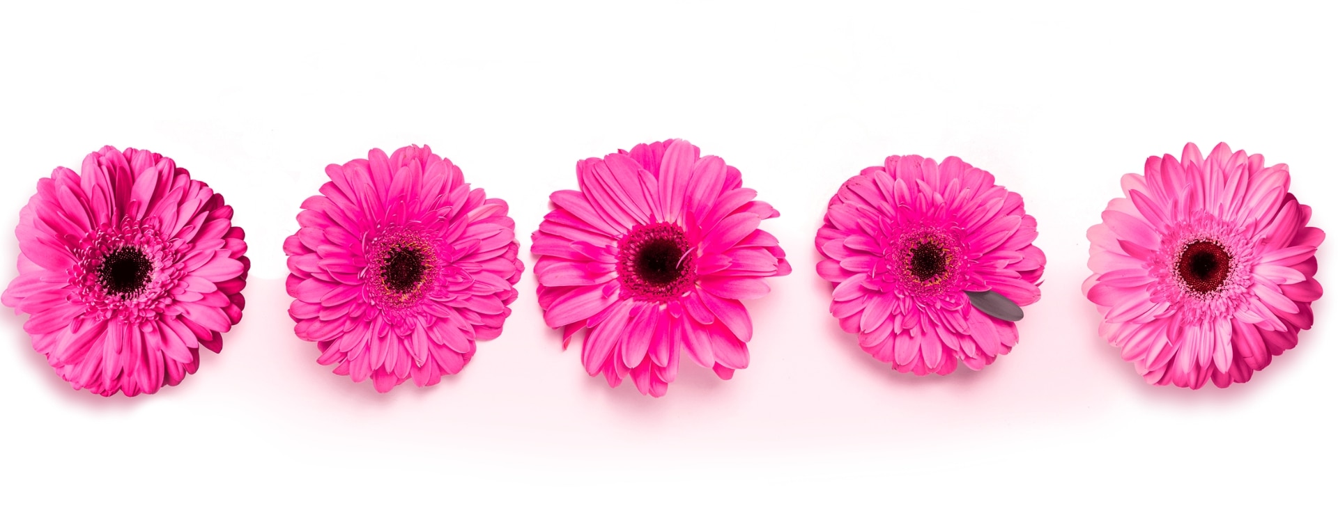 Banner AIS desktop 1920 x 760