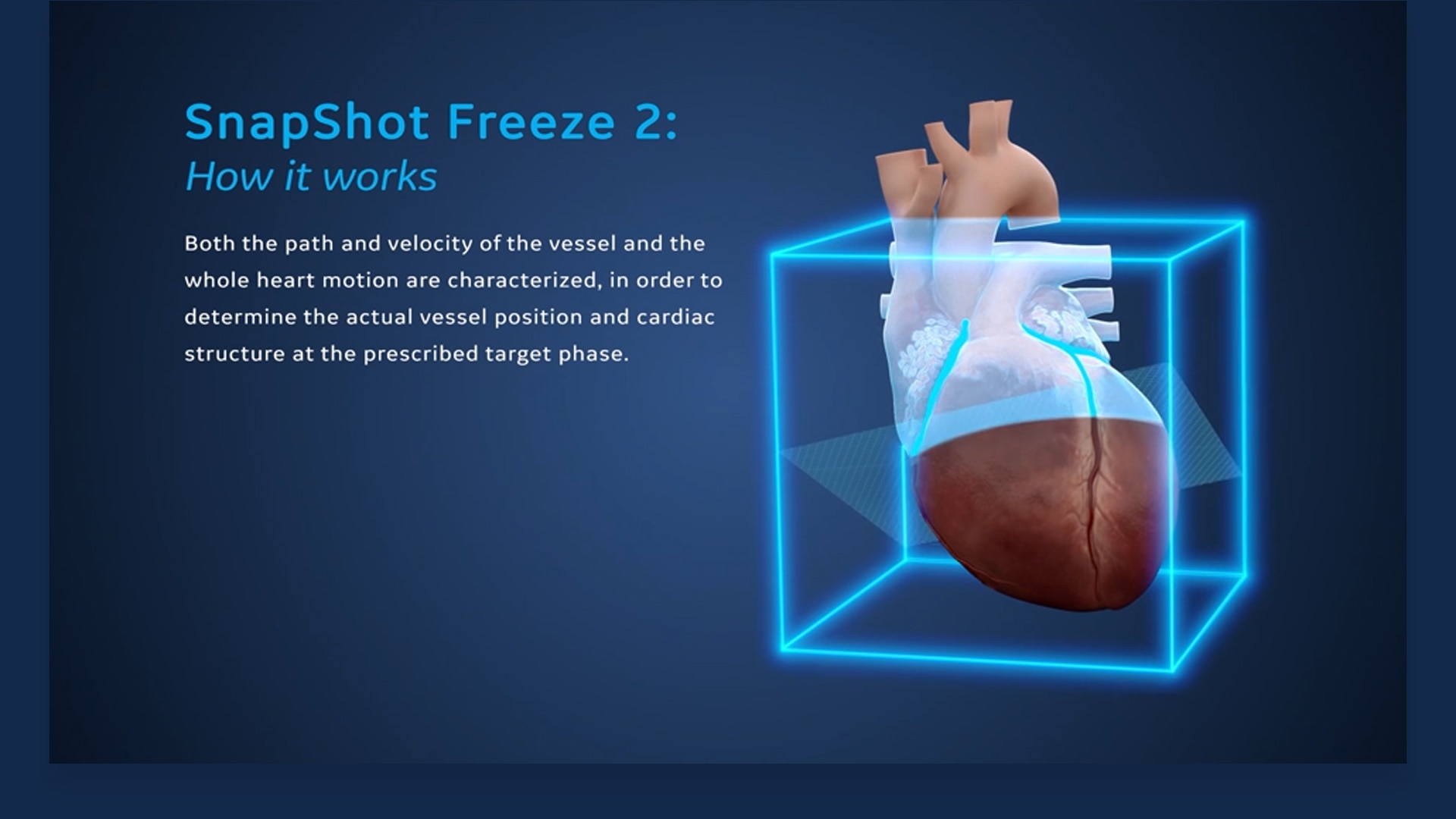 AW-SnapShot-Freeze-2-full-width-video