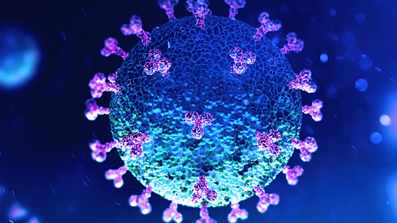graphic representation of a coronavirus cell
