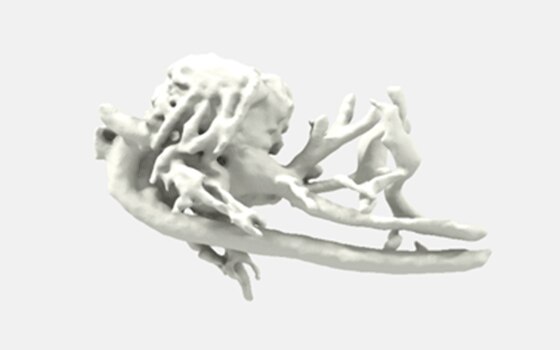 Tecnologia di stampa in 3D di Voluson